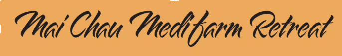 MAI CHÂU MEDIFARM RETREAT